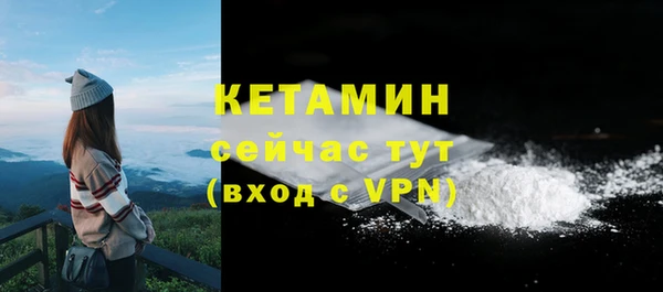 a pvp Бородино