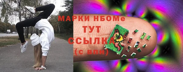 ECSTASY Новозыбков