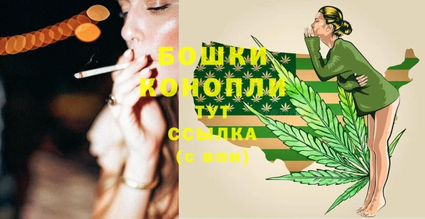 ECSTASY Новозыбков