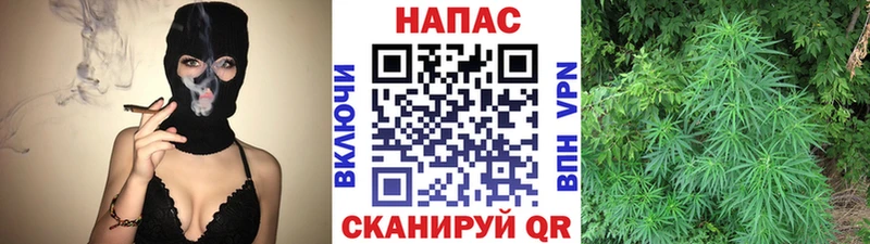 Бошки Шишки Amnesia  Берёзовка 
